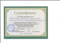 Сертификат участника семинара "Инновационные формы работы с семьей в условиях реализации ФГОС"               (Н.М. Метенова)