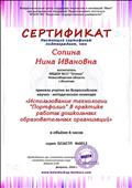 Сертификат участия во Всероссийском научно-методическом семинаре "Использование технологии "Портфолио" в практике работы дошкольных образовательных организаций"